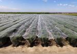 Protection Insect Mesh Netting 100m Length PEHD Material ISO9001 Listed