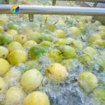 Silvery Personalization Passion Fruit And Vegetable Processing Line Fruit