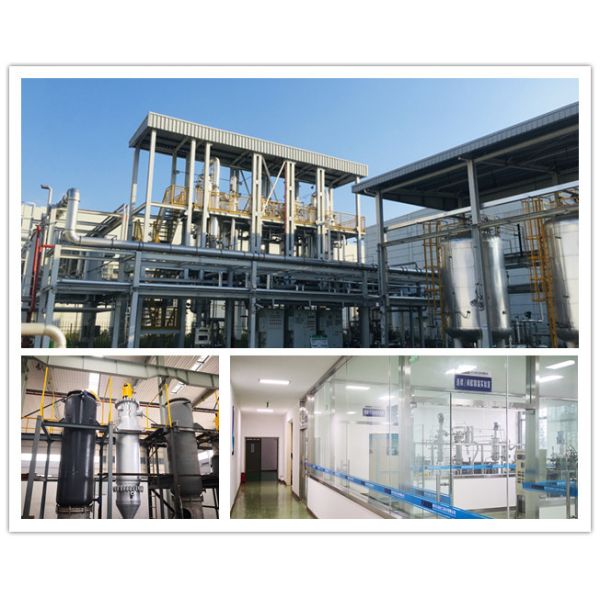 UL Turnkey Oil Refinery Equipment High Purity VE Refining Unit