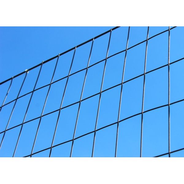 5 Ft PVC Coated Welded Metal Wire Mesh Fence 2X4 inch 14 Gauge