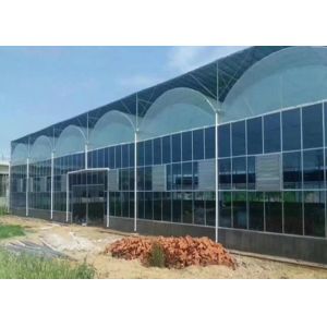 Quality Plastic Film Vegetables Tomatoes Single Span Greenhouse for sale