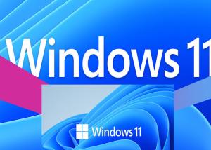 Quality WDDM 2.X Microsoft Windows 11 Professional 4GB RAM 100% Activate Online UEFI for sale