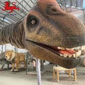 China Indoor Realistic Dinosaur Head Wall Mount Decorative Size Customized on sale