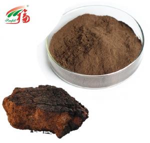 Quality Chaga Mushroom Extract Powder 20% - 30% Polysaccharides For Cosmetics for sale