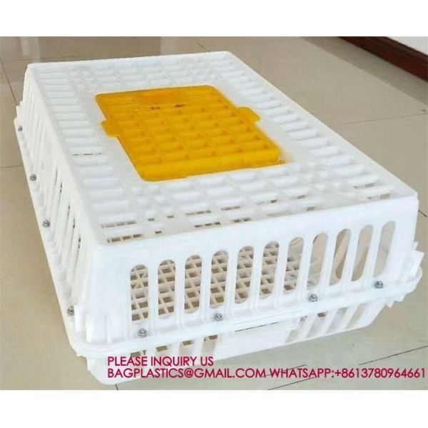 Poultry Plastic Transport Cage Crate Chicken Turnover Box For Farm Use For Duck Pigeon