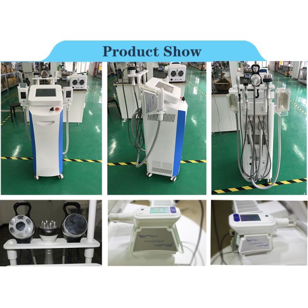 2014 Sales Promotion!!! The most featured Cryolipolysis Slimming Device Green Vertical