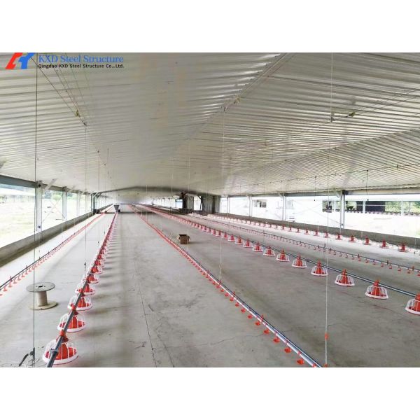 Poultry Farm Plastic Slatted Floor , Poultry Slatted Floor For Chicken House