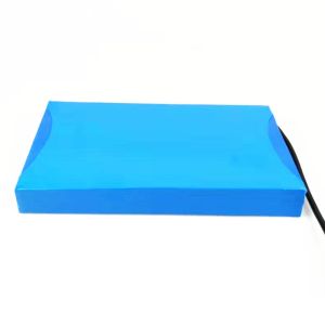 Deep Cycle 256Wh 12.8V 20Ah LiFePO4 Battery Pack