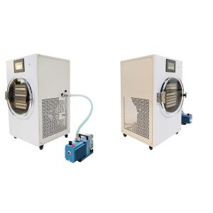 Quality 2000W Electric Mini Freeze Dryer Home Food Freeze Dryer for sale