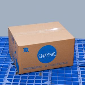 Food Grade Transglutaminase Enzyme 1000U/G Providing Enzyme Preparation Sample
