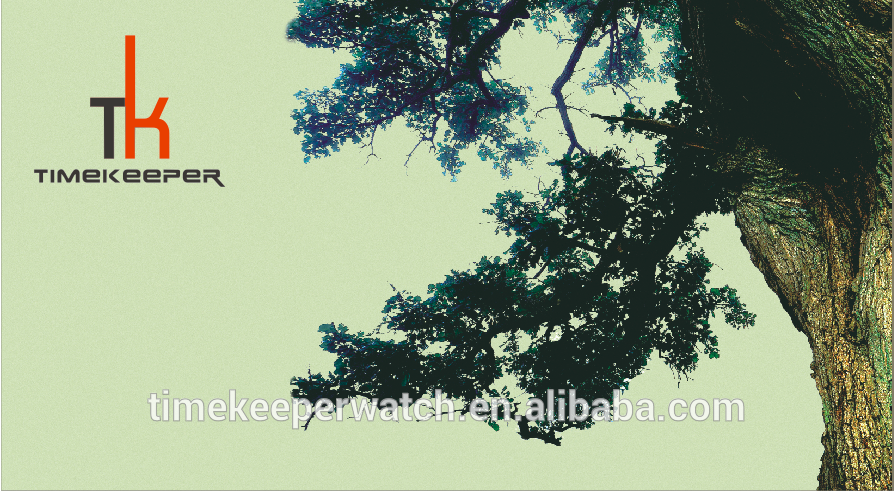 wholesale wood watches ,made in china ,stainless steel case back ,high quality wood watches 2016