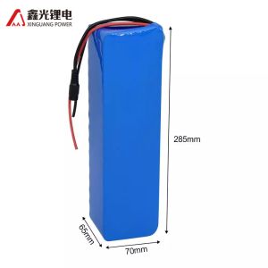 Quality 36v 12ah Lithium Ion Ebike Electric Bicycle Battery Pack for sale