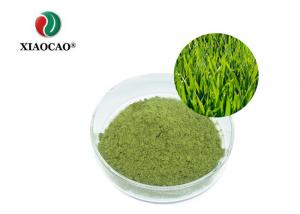 China Organic Barley Grass Juice  Powder / NOP EU Pure Green Barley Grass Powder on sale