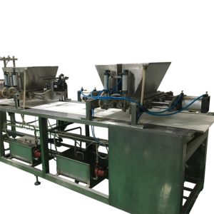 600mm Chocolate Chip Making Machine