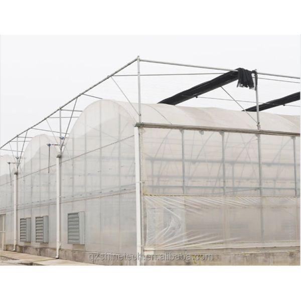 Multi Span Agricultural Greenhouses With PE Film Covering And Gutter Connection