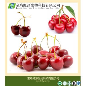 Quality 100% Soluble Acerola Cherry Extract Powder for sale