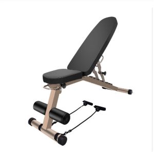 China 1000 Lbs Commercial Gym Adjustable Bench For Weightlifting on sale