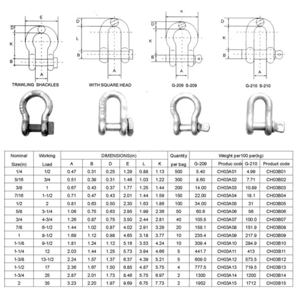Wear Resistance 304 316 Ss D Shackle Extra Wide Imperial Or Metric Size