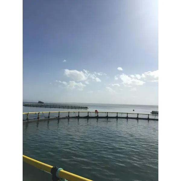 Reliable, Heavy-Duty Aquaculture Cages &ndash; Best for Large-Scale Fish Farming