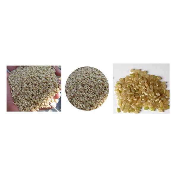 Manufacturing Plant Rice Hulling Machinery with 3000-3500kg/h Capacity and Low Noise