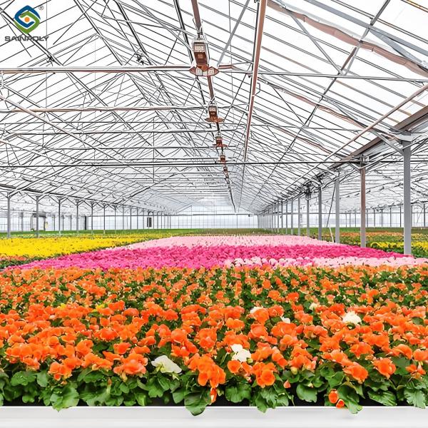 Waterproof Flower Greenhouse Multi Span Greenhouse With Strong Load Bearing