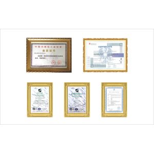 Wenzhou Denisen Auto Parts Technology Co., Ltd. Certifications