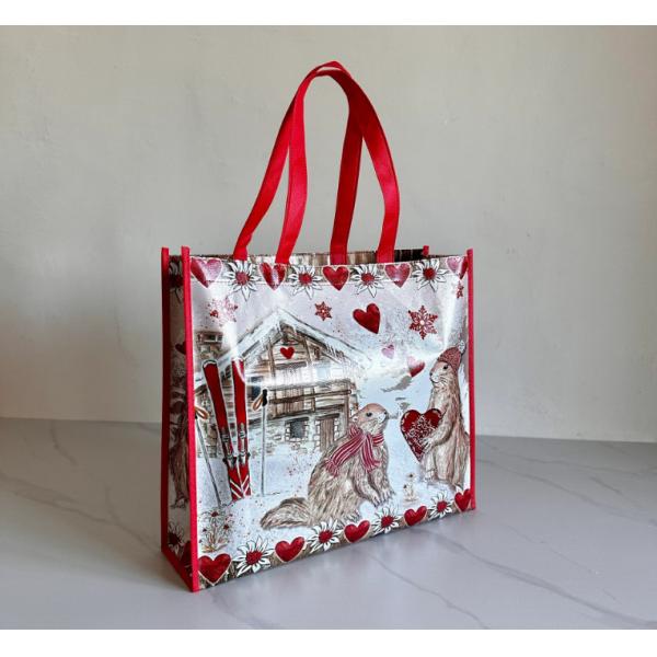 Custom Logo Printed Reusable Spunbond Non-Woven Fabric Shopping Bag Durable And Eco-Friendly Custom Non-Woven Bag Shopping Bag Non Woven Foldable Tote