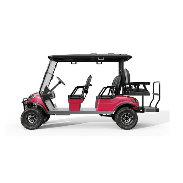 Street Legal Golf Cart NL-JA4 2.G Electric Buggy for Sightseeing Club 10% Climbing Ability 30Km/h Max. Speed