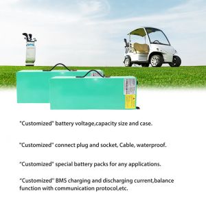 Rechargeable Golf Cart Lithium Battery Solid 60V 25Ah Durable