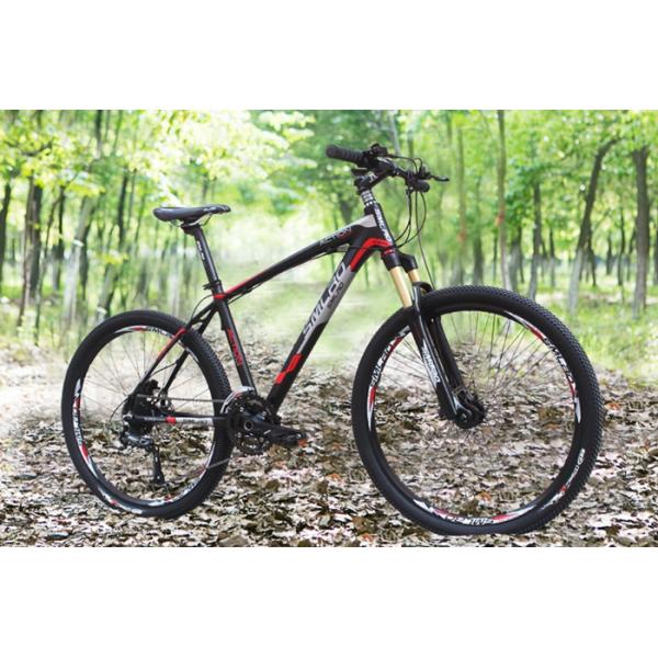 Foldable Carbon Fiber Mountain Bicycle