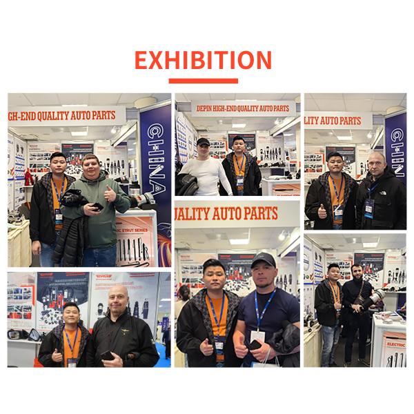 Land Rover Air Suspension Strut RNB501620 RNB501590 for Land Rover Discovery L319