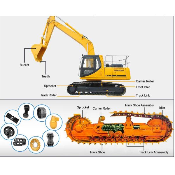 0ZXTMKOQPIAEFKANUT50[TL