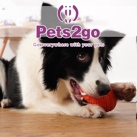 Interactive 112x74mm Latex Cat Playing Ball