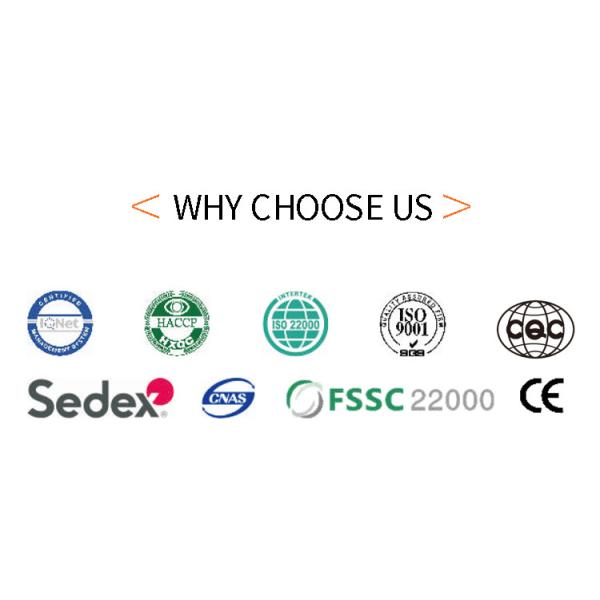 Food Making Machine , Factory Made , Fully Automatic , Stainless Steel , 101 Cast Iron Baking Templates.