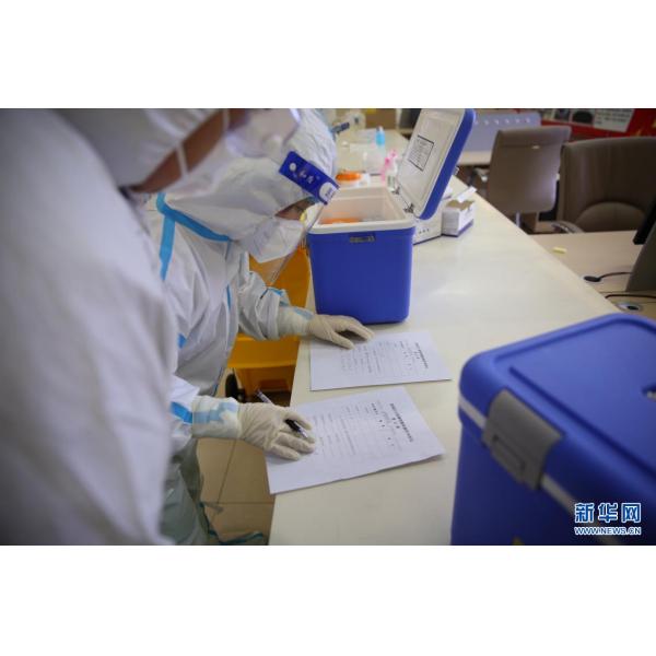 Vaccine Cold Transportation UN2814 Box Medical Grade Biological Cooler Box