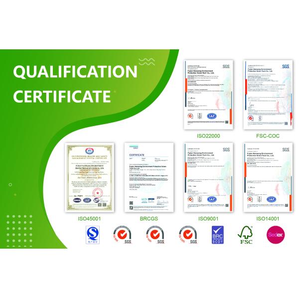 J Cut Paper Bag Custom Printing Logo Shopping Gift Handle Craft Coffee Food Takeout Restaurant Packaging