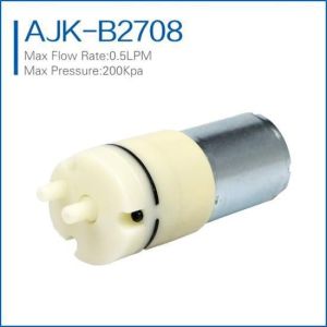 China high pressure mini water pump on sale