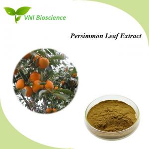 Quality Natural Persimmon Plant Extract Powder Anti Inflammatory Diospyros Kaki L.F for sale