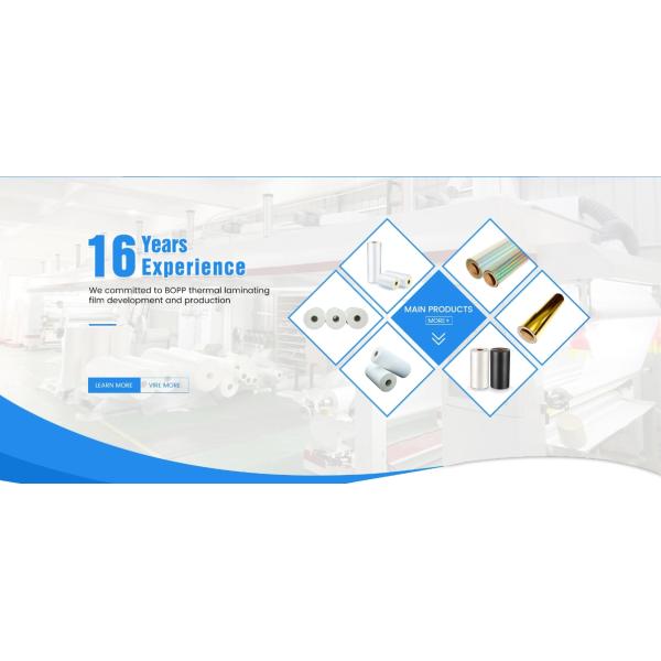 Customized Laminated Material PE Coated Metalized Film for Heat Insulation