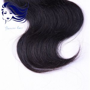 100 Virgin Brazilian Hair Extensions