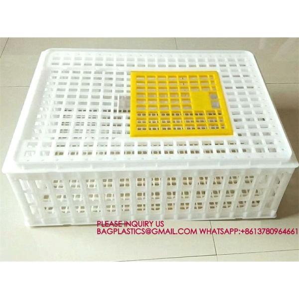 Poultry Plastic Transport Cage Crate Chicken Turnover Box For Farm Use For Duck Pigeon