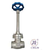 Quality DN10-100 Cryogenic Globe Valves For LNG LOX LIN LAr CO2 Long Stem Manual Globe Valve PTFE Valve CF8 CF3 for sale
