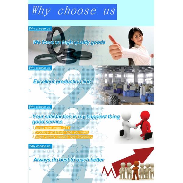 Standard Tungsten Carbide Mechanical Seal Water Pump Bearing Type A2