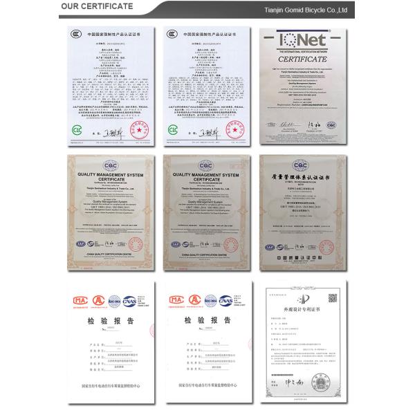 29 inch Mountain Bike 24 Speed OEM Bicycle with Steel Fork and Customizable Options