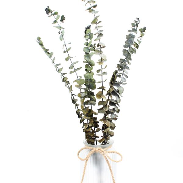 Artificial Dried Eucalyptus Plant , Preserved Silver Dollar Eucalyptus