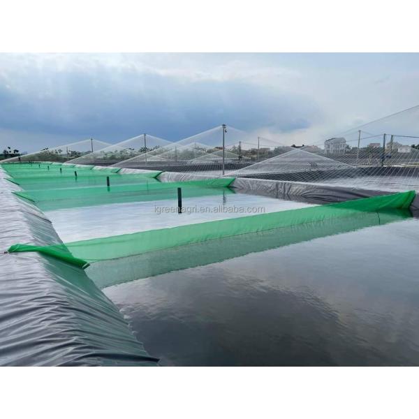 Sturdy PVC Tarpaulin Fish Tank 30 Meters For Large Aquaculture Operations