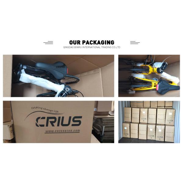 Crius Most Popular 14 Inch Foldable Exercise Road Bike Lightweight And Easy To Carry