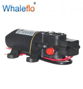 Whaleflo 2 Diaphragm Pumps 24 VOLTS 80psi 4.0LPM Pressure Water Pump for agriculture pump sprayer