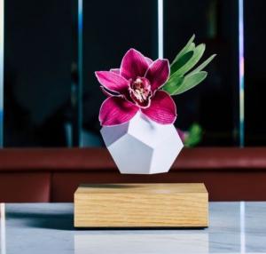 China white pot magnetic levitation air bonsai, floating display plant pot tree on sale