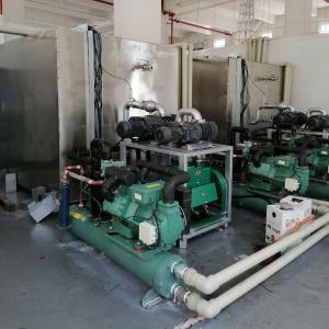 81kw Fruits Vegetable Integral Vacuum Freeze Dryer